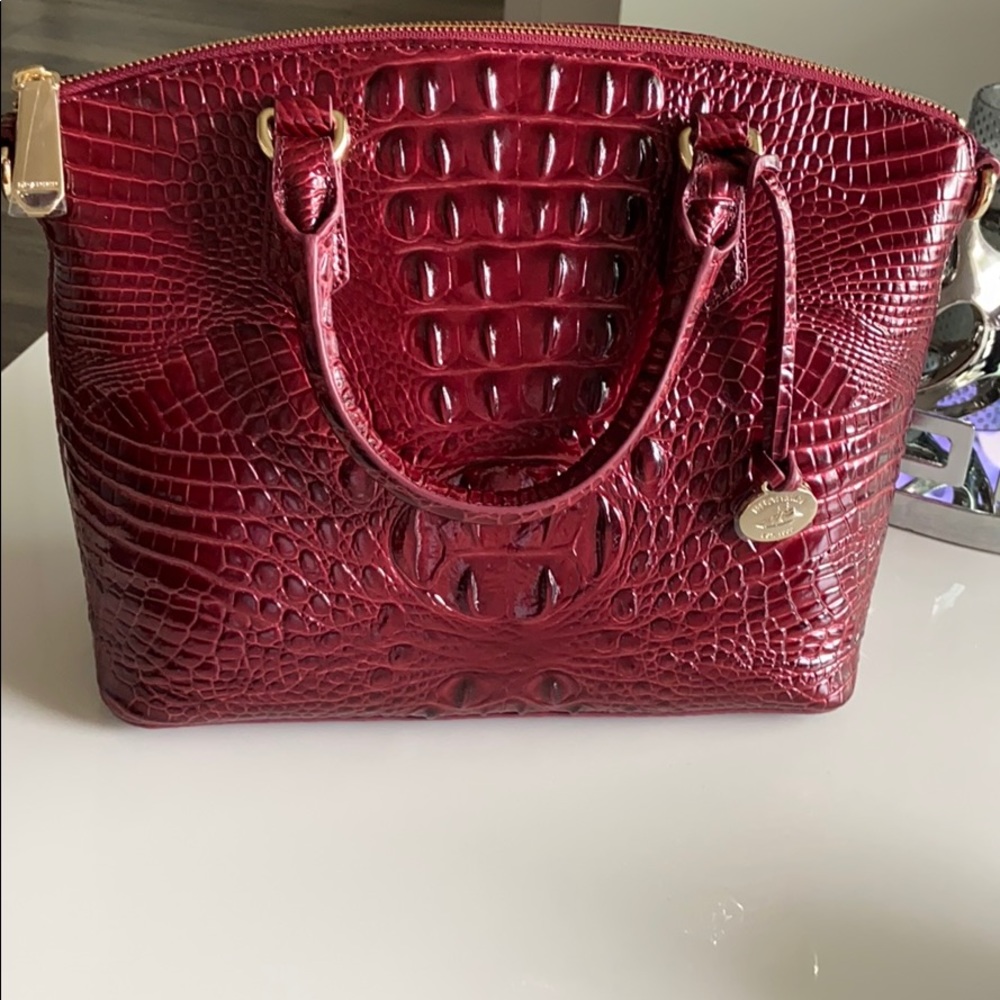 Brahmin 🌸
